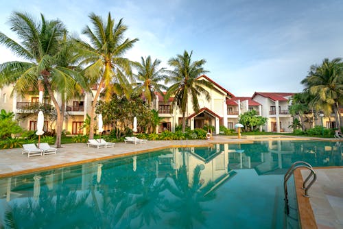 Palm Trees Reflecting in a Hotel Pool