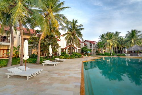 Gratis stockfoto met dug-out zwembad, kokospalmen, landhuizen