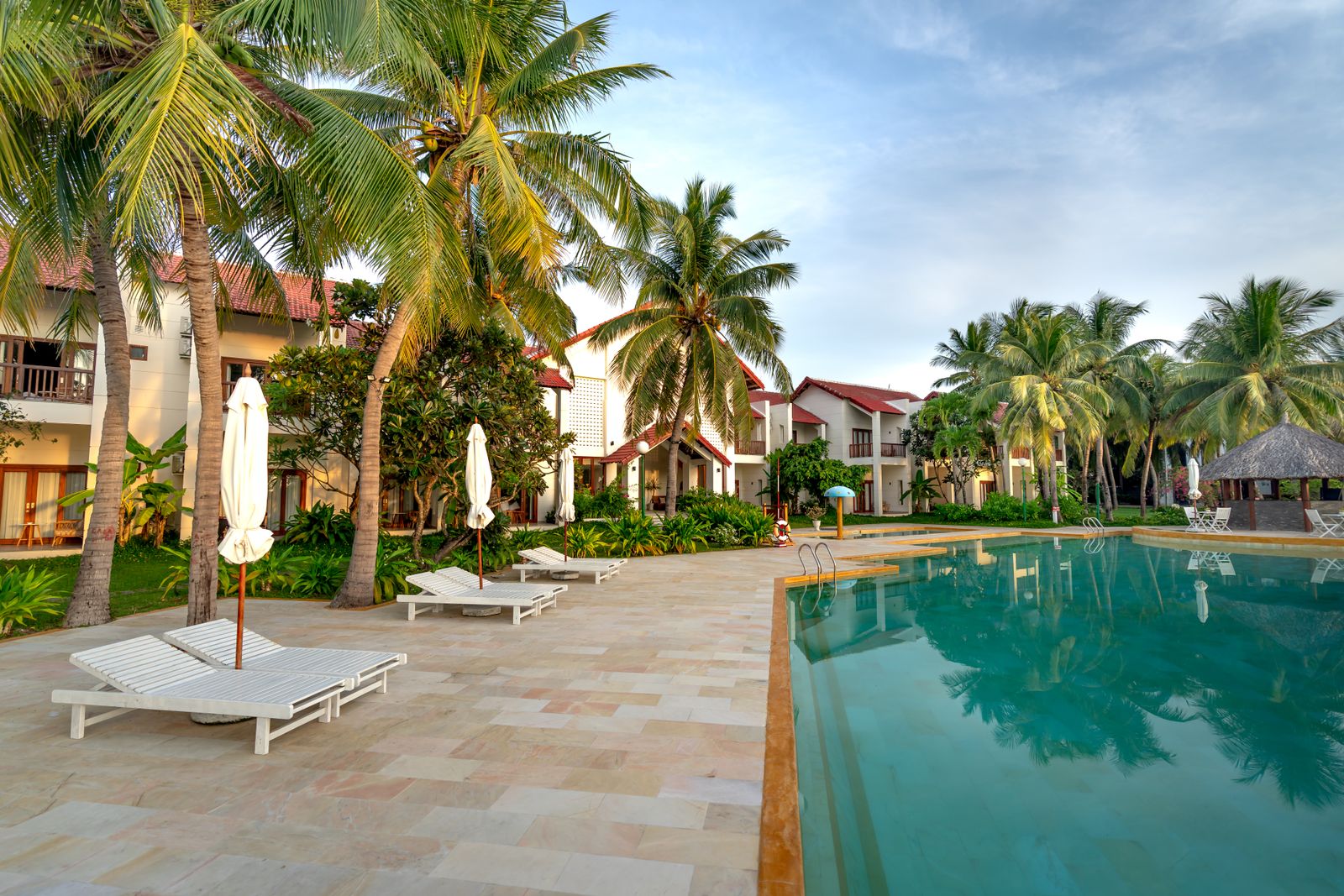 Sun loungers beside the lodge pool under palm trees