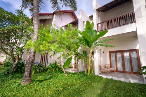 Lush Foliage in Garden