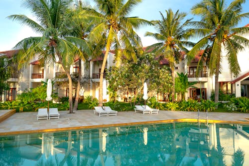免费 度假村, 挖出的游泳池, 椰子樹 的 免费素材图片 素材图片