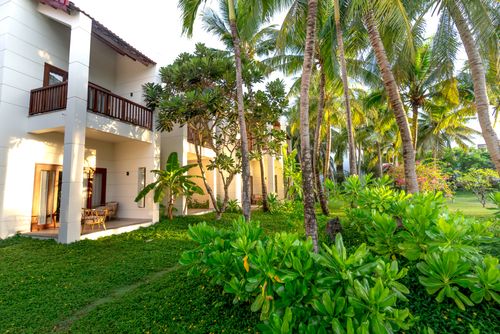 Free A serene tropical resort surrounded by lush greenery and tall palm trees, perfect for relaxation. Stock Photo