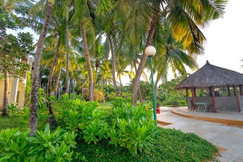 Free Serene tropical resort garden with coconut trees and a nipa hut, perfect for relaxation. Stock Photo