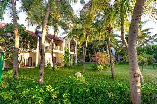 Lush tropical garden with palm trees and houses during sunset.