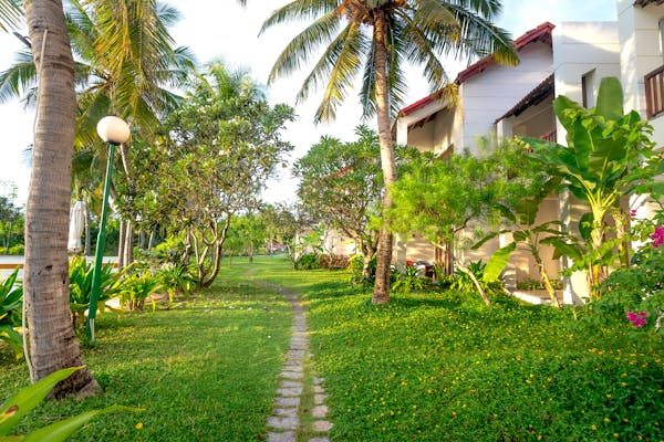 Đường nội khu resort nhiệt đới cây cọ xanh mát