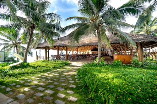 Palm Trees Growing near Wooden Building on Tropical Resort