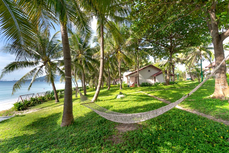 Hammock By House In Seaside