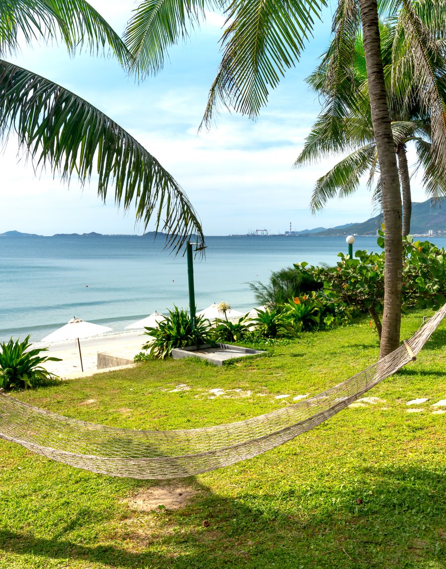 A hammock resting between coconut palms on a sunny day.