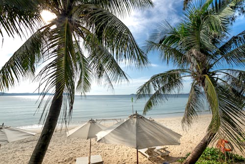 คลังภาพถ่ายฟรี ของ ชายหาด, ทรายขาว, ทะเล