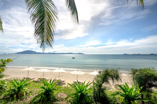 Beach Umbrellas on White Sand Seashore