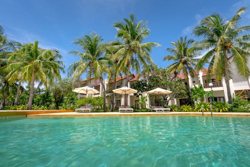 Poolside with Beach Umbrellas and Lounge Chairs Beside Concrete Villas and Palm Trees 