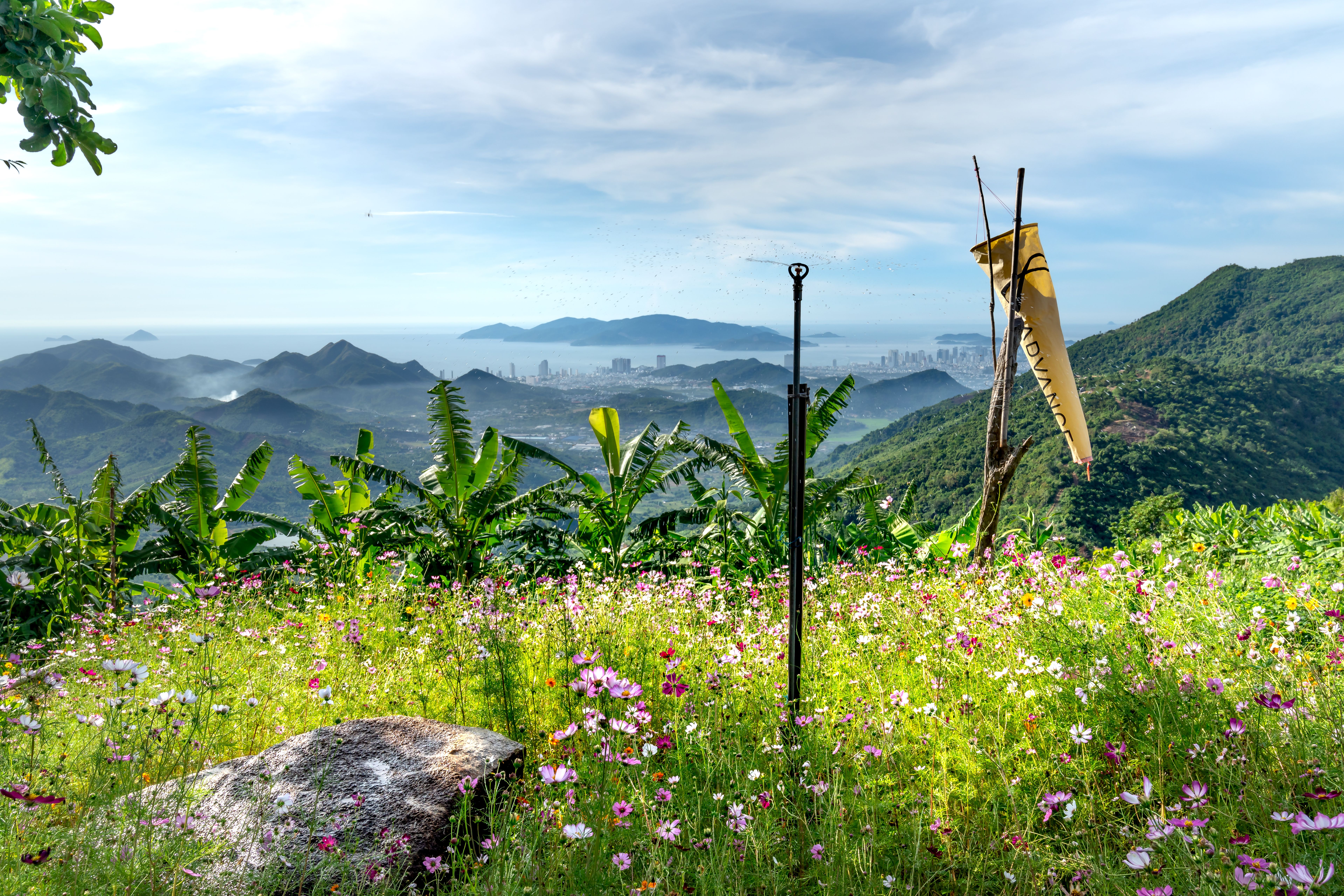 Flower Mountain Broad View Photos, Download The BEST Free Flower ...