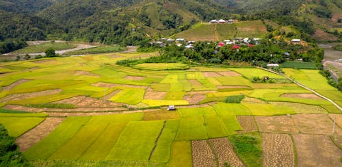 Foto stok gratis agrikultura, fotografi udara, lansekap