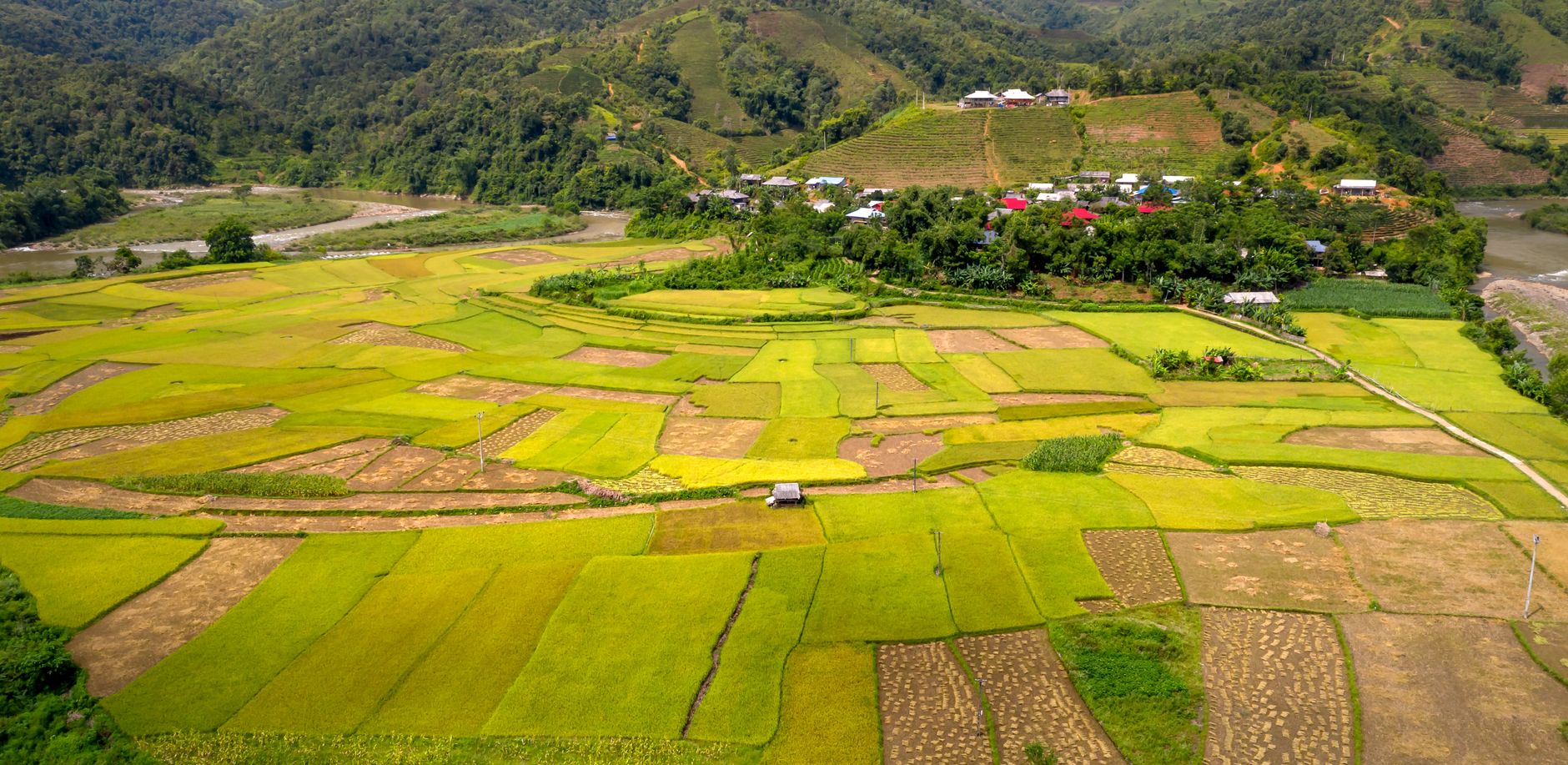 The Apatani Tribe of Ziro Valley: A Cultural Guide