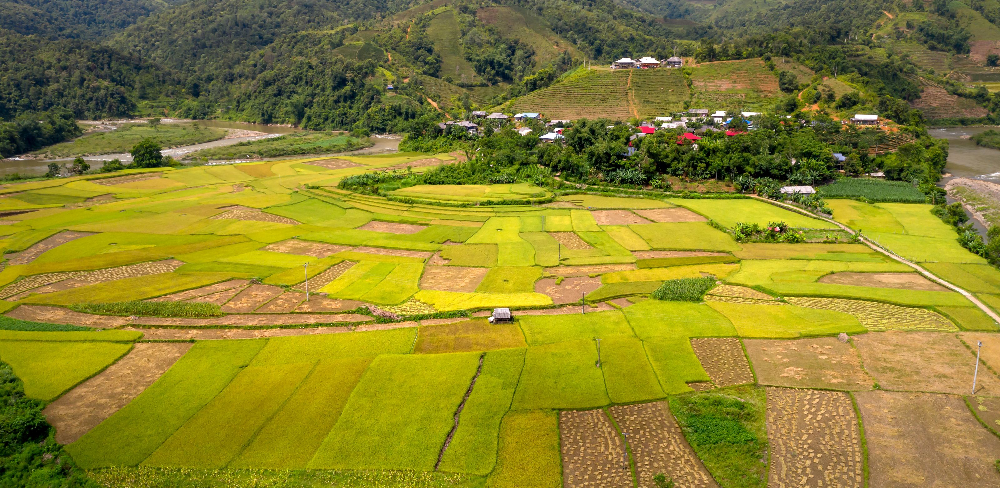 Ziro Valley Festival Tour