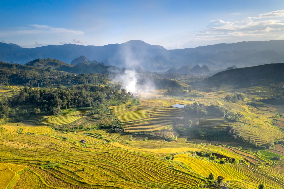 Amazing Rice Paddy Aerial View of Rice Paddies · Free Stock Photo
