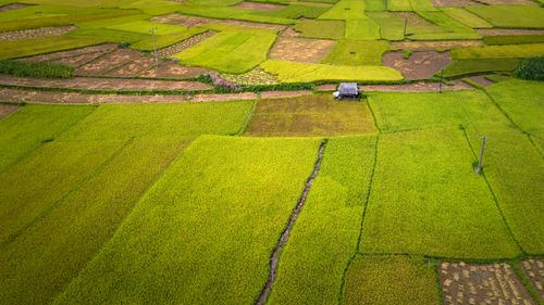 Free Aerial view of vibrant agricultural fields showcasing rural countryside landscape. Stock Photo