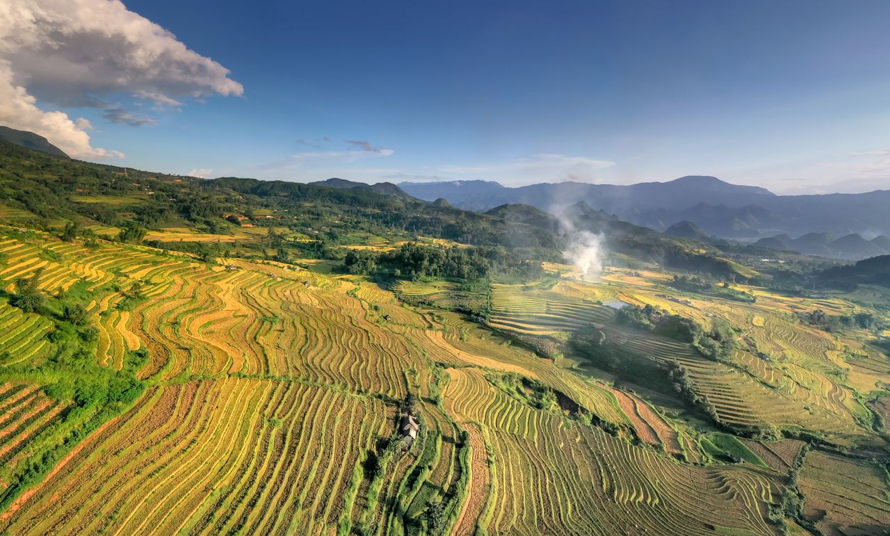 a breathtaking aerial shot of lush terraced rice fields with distant m