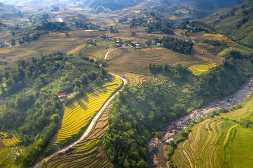 Free Stunning aerial shot of lush, terraced rice fields reflecting nature's beauty and agricultural artistry. Stock Photo