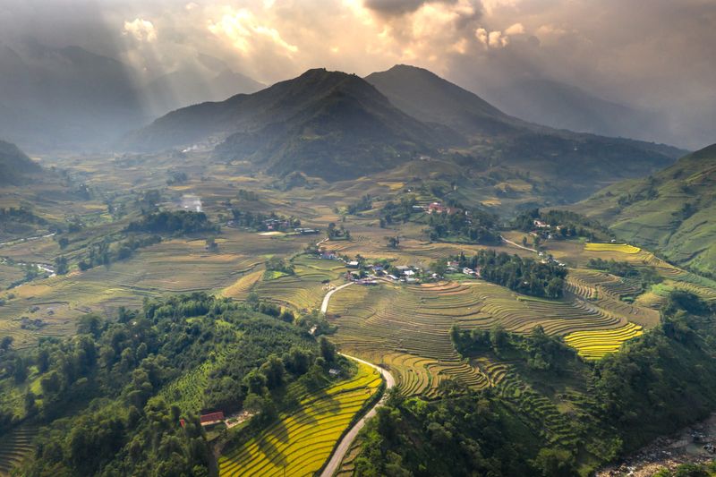 Templo entre la selva del Sudeste Asiático