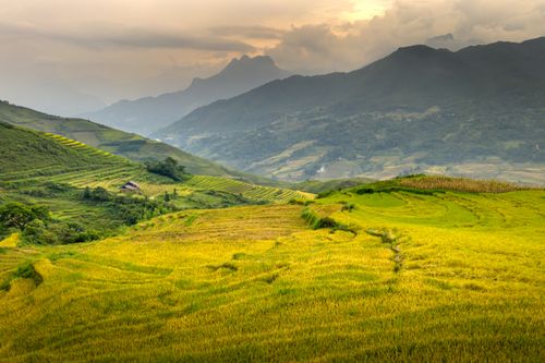Free Breathtaking landscape of terraced rice fields against a mountainous backdrop at sunset, showcasing rural beauty. Stock Photo