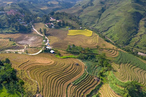 Foto profissional grátis de aerofotografia, agricultura, cênico