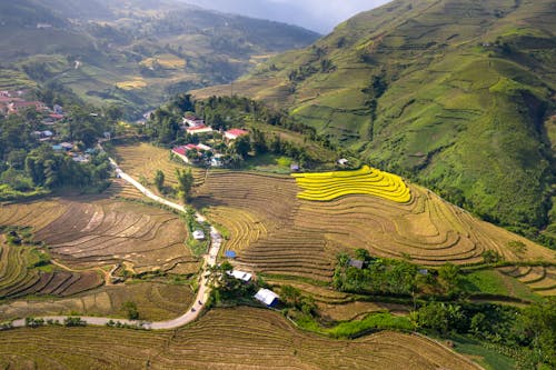 Aerial Photo of Rive Terraces