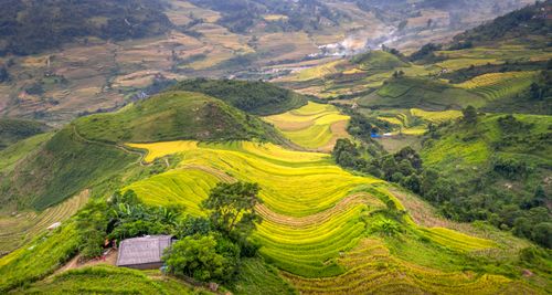 Free Discover breathtaking terraced rice fields in Vietnam's lush green landscape. Stock Photo