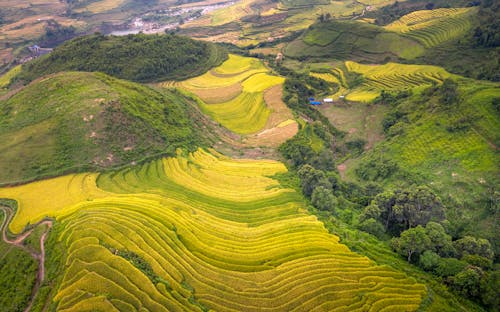 Gratis stockfoto met akkerland, dronefoto, gras