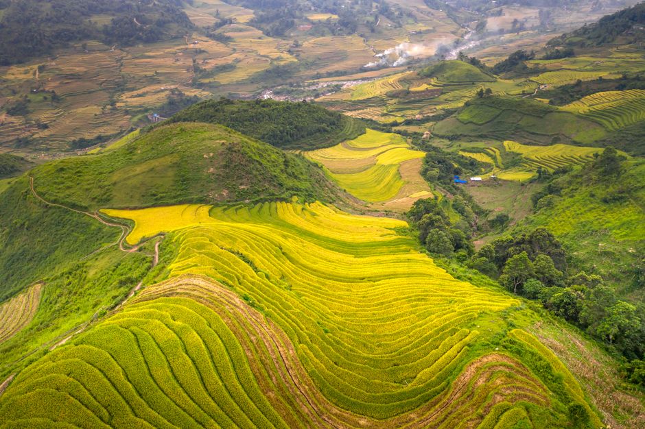 Sapa rizsteraszok túraútvonalai: 5 lenyűgöző ösvény – Sapa rice terraces Vietnam landscape