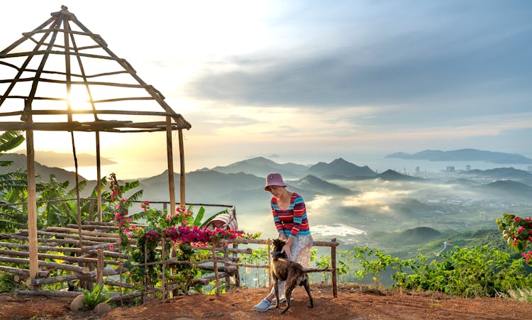 Woman And Dog On Mountain Viewpoint