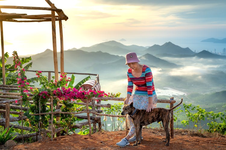 Woman And Dog On Mountain Viewpoint