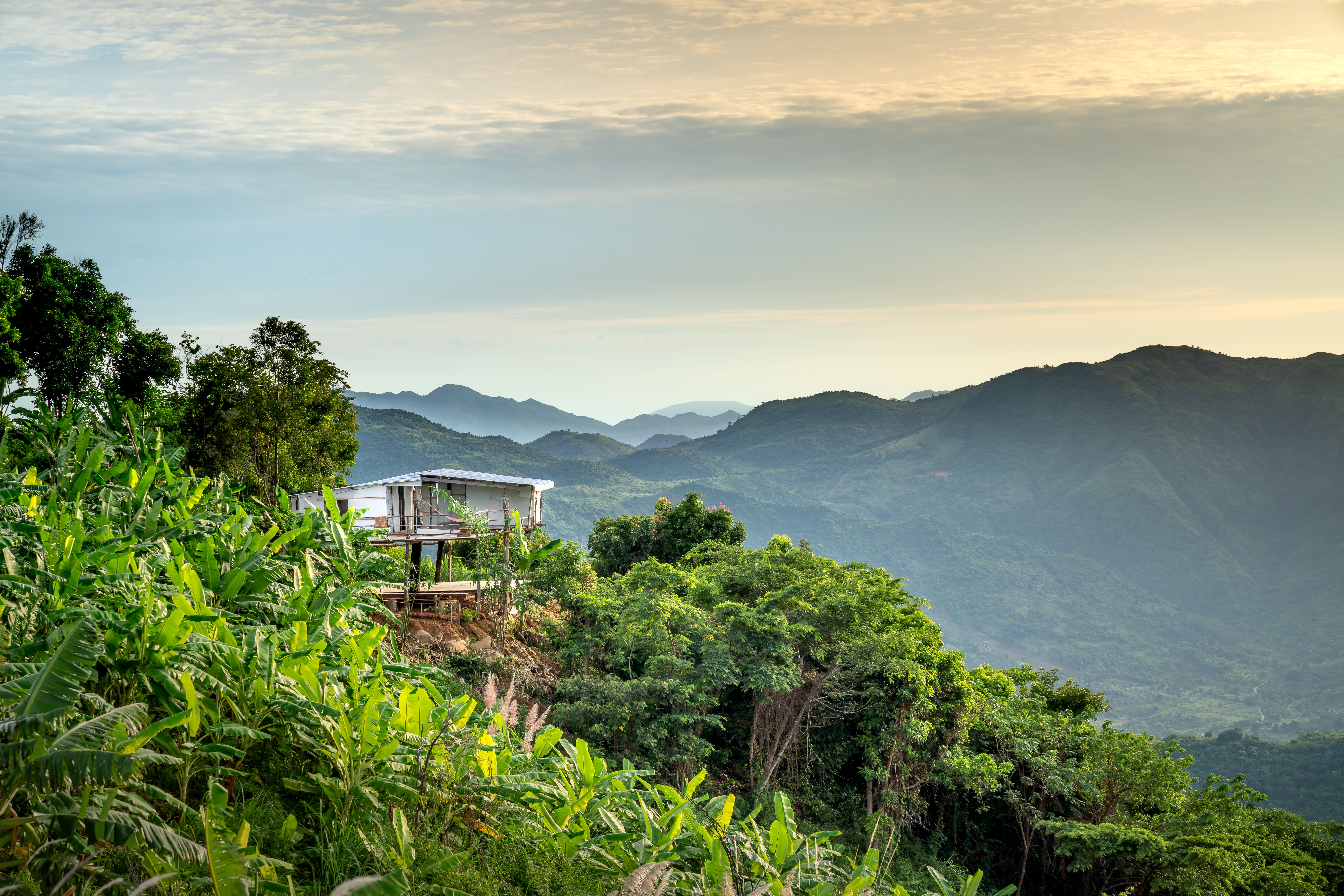 Enoki Retreat 1