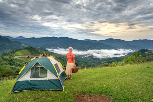 Imagine de stoc gratuită din câmp de iarbă, camping, ceață