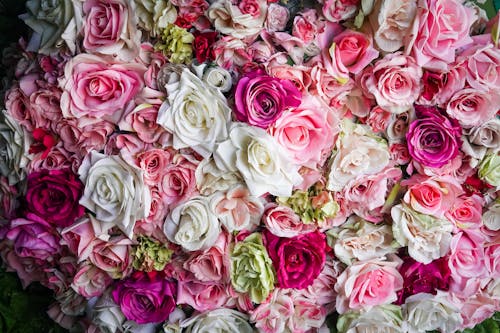 Fotos de stock gratuitas de abundancia, colorido, flores