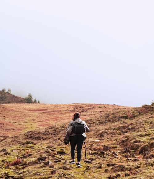 Foto d'estoc gratuïta de amant de la natura, aventura, aventurer