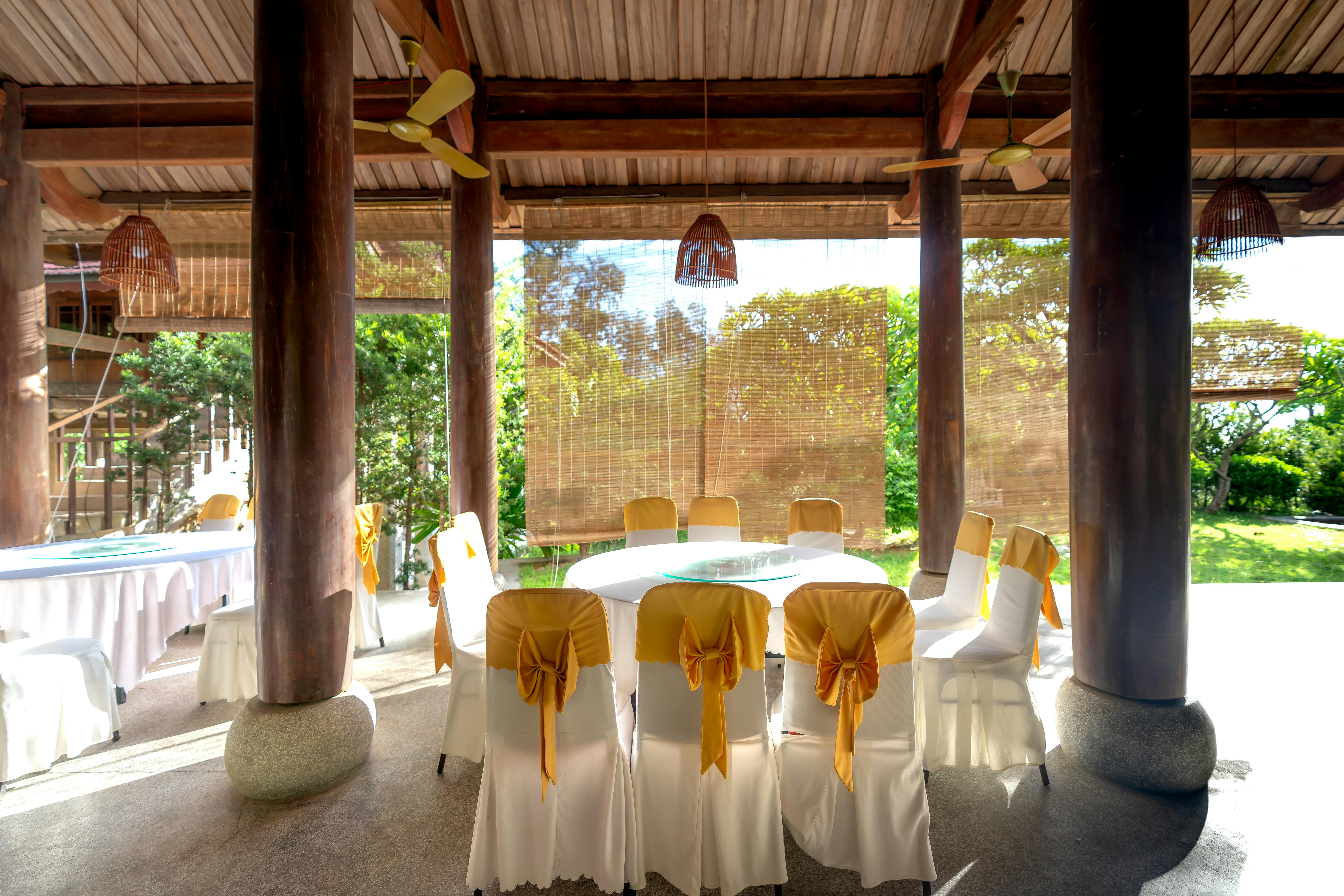 Reception from Fans and Critics