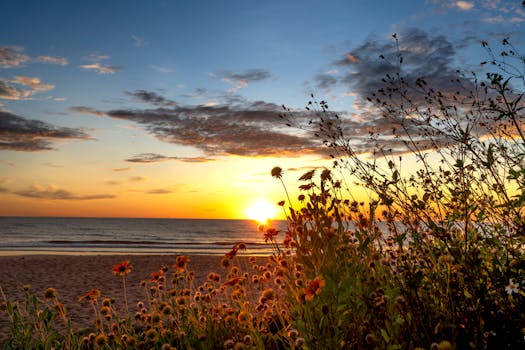 Vibrant sunset over a sandy beach framed by wildflowers, capturing golden hour's beauty.