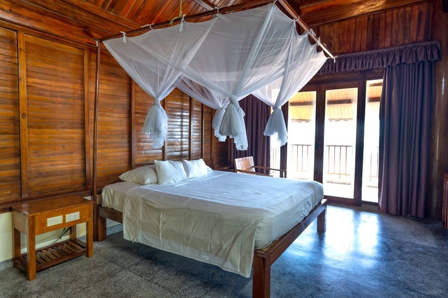 Bed protected by a canopy mosquito net