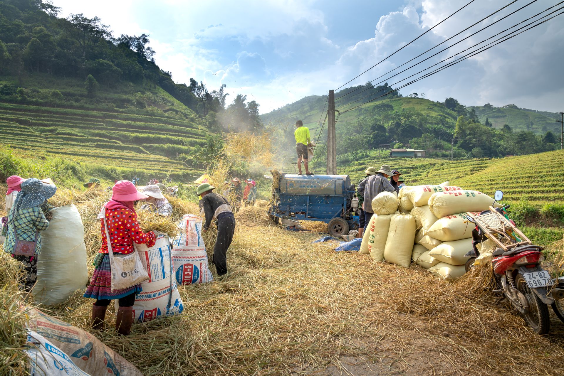 Farmers working together to harvest rice in lush terraced fields under a clear sky.