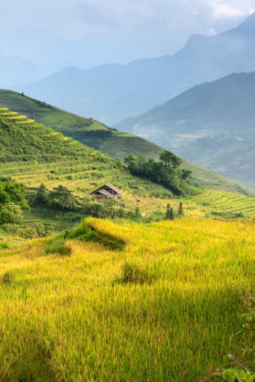 Free Lush green rice terraces stretching across the mountainous countryside on a sunny day. Stock Photo