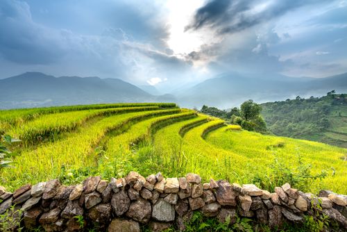 Free Beautiful terraced rice fields with lush greenery under a dramatic cloudy sky. Stock Photo
