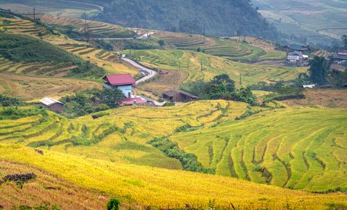 Free Beautiful landscape of rice terraces and farmhouse in a serene rural setting. Stock Photo