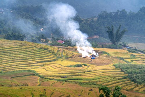 Aerial Photography of Rice Terraces