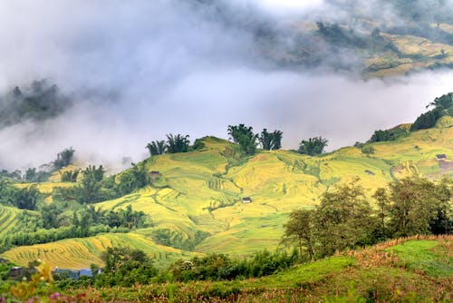 Foto profissional grátis de cenário, clima, colina