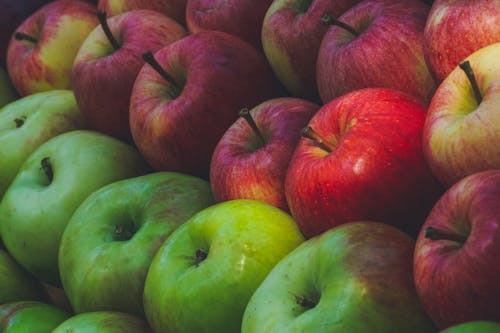 Free Red and Green Apples Stock Photo