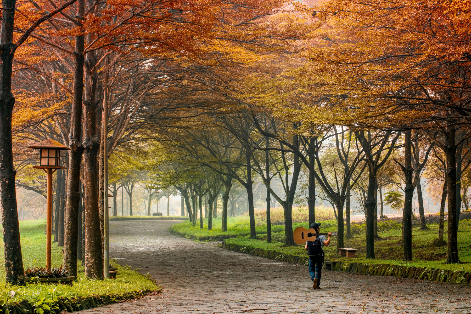 Autumn in Sohna Road: Walks, Food and Where to Stay