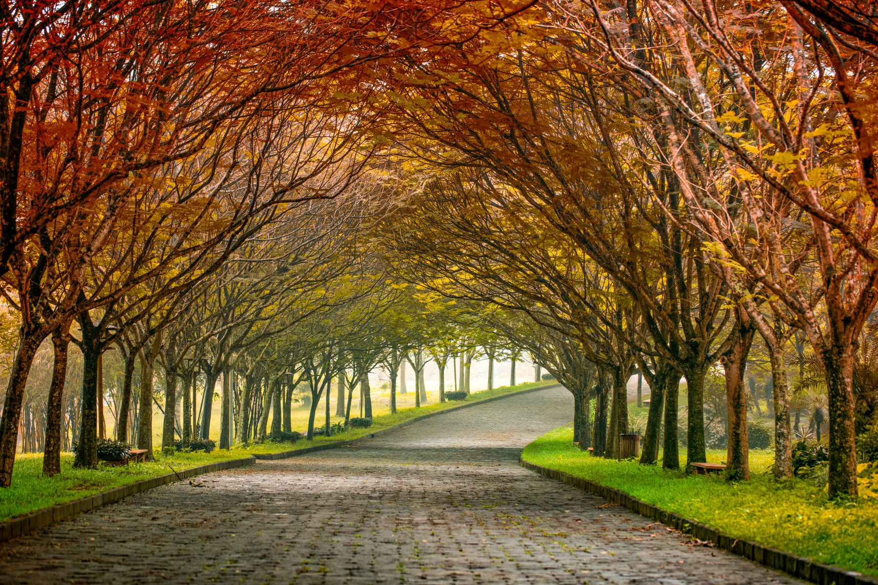 Autumn in Epe: Walks, Food and Where to Stay