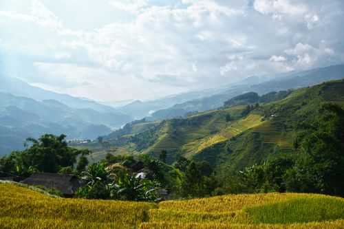 Free Explore the vibrant green rice terraces under a dramatic cloudy sky. Stock Photo