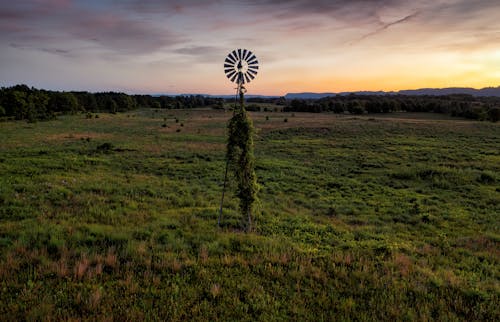 Fotos de stock gratuitas de anochecer, belleza, campo